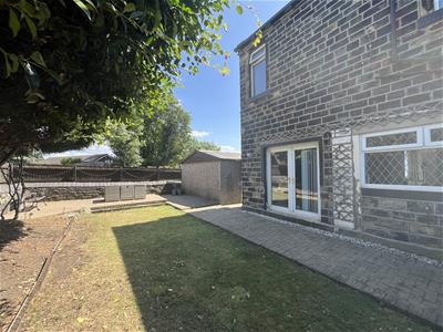 Picture 21